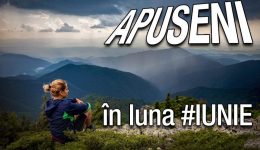 Mntii Apuseni Mntii Apuseni