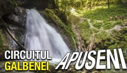 yt-iunie2 yt-iunie2